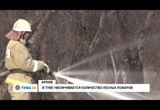 В Туве увеличивается количество лесных пожаров
