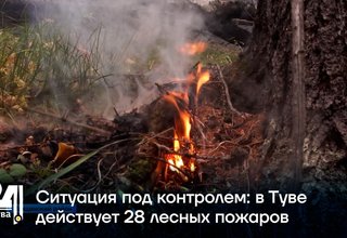 Ситуация под контролем в Туве действует 28 лесных пожаров
