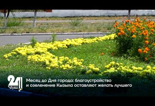 Месяц до Дня города: благоустройство и озеленение Кызыла оставляют желать лучшего