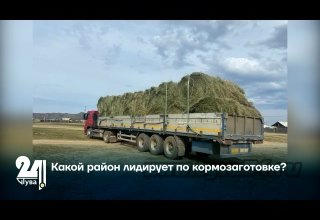Какой район лидирует по кормозаготовке?