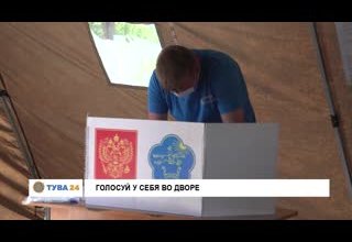 Голосуй у себя во дворе