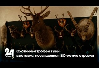 Охотничьи трофеи Тувы: выставка, посвященная 80-летию отрасли