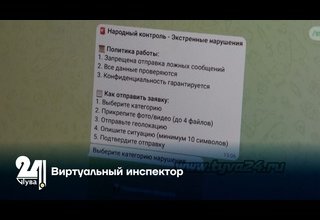 Виртуальный инспектор