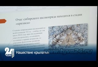 Нашествие крылатых