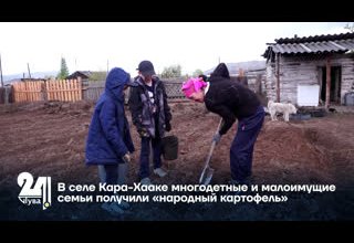 В селе Кара-Хааке многодетные и малоимущие семьи получили «народный картофель»