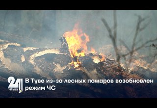 В Туве из-за лесных пожаров возобновлен режим ЧС