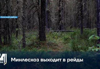 Минлесхоз выходит в рейды