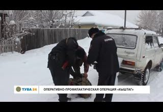 Оперативно-профилактическая операция "Кыштаг"