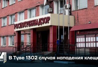 В Туве 1302 случая нападения клещей