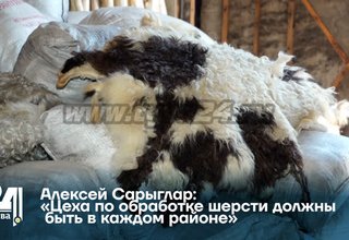 Алексей Сарыглар: «Цеха по обработке шерсти должны быть в каждом районе»
