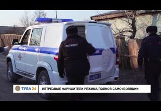 Нетрезвые нарушители режима полной самоизоляции