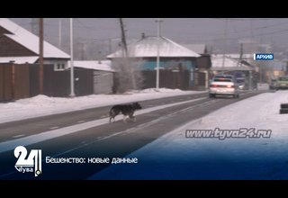 Бешенство: новые данные