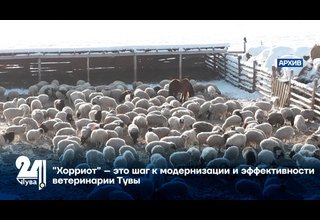 "Хорриот" – это шаг к модернизации и эффективности ветеринарии Тувы