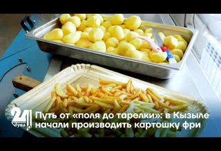 Путь от «поля до тарелки»: в Кызыле начали производить картошку фри