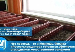 Что посеешь - то и пожнешь. Филиал «Россельхозцентра» готовится обеспечить огородников качественными семенами