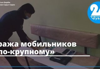 Кража мобильников «по-крупному»