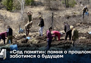 «Сад памяти»: помня о прошлом, заботимся о будущем
