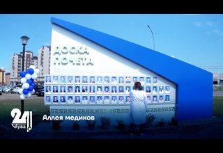 Аллея медиков