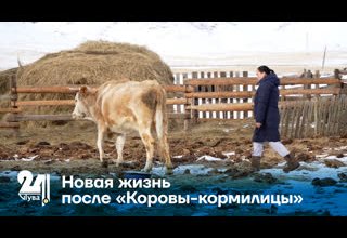 Новая жизнь после «Коровы-кормилицы»