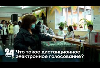 Что такое дистанционное электронное голосование?