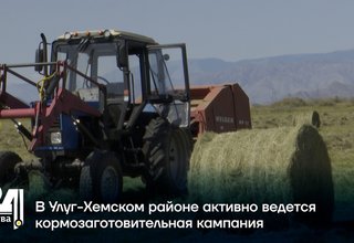 В Улуг-Хемском районе активно ведется кормозаготовительная кампания