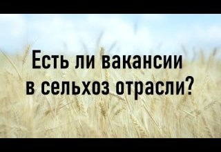 «Нам пишут»