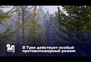 В Туве действует особый противопожарный режим