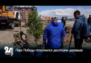 Парк Победы пополнился десятками деревьев