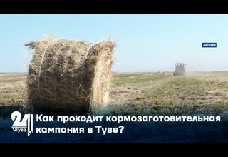 Как проходит кормозаготовительная кампания в Туве?