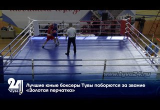 Лучшие юные боксеры Тувы поборются за звание «Золотая перчатка»