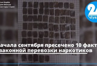 С начала сентября пресечено 10 фактов незаконной перевозки наркотиков