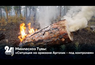 Минлесхоз Тувы: «Ситуация на аржаане Арголик - под контролем»