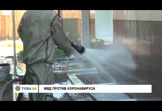 МВД против коронавируса