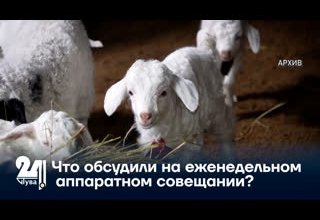Что обсудили на еженедельном аппаратном совещании?
