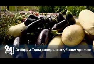 Аграрии Тувы завершают уборку урожая
