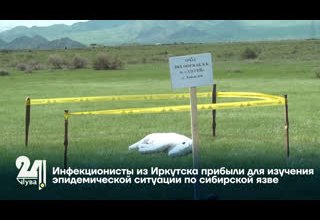 Инфекционисты из Иркутска прибыли для изучения эпидемической ситуации по сибирской язве