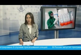 Главные события дня