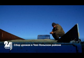 Сбор урожая в Чаа-Хольском районе
