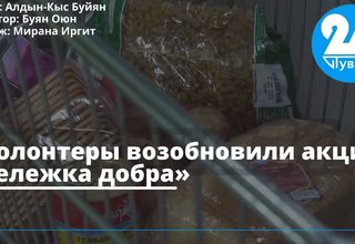 Волонтеры возобновили акцию «Тележка добра»