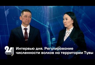 Регулирование численности волков на территории Тувы