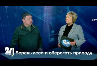 Беречь леса и оберегать природу