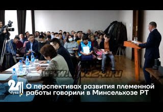 О перспективах развития племенной работы говорили в Минсельхозе РТ