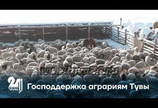 Господдержка аграриям Тувы
