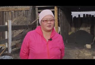 Социальный уголь