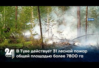 В Туве действует 31 лесной пожар общей площадью более 7800 га