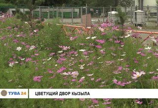 Цветущий двор Кызыла