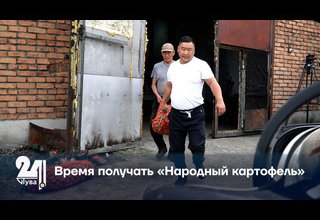 Время получать «Народный картофель»