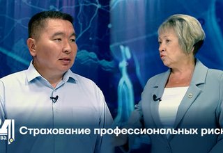 Страхование профессиональных рисков