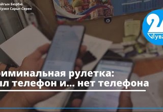Криминальная рулетка: был телефон и… нет телефона
