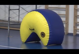 В этом году на базе школы №17 свои двери откроет школа ушу